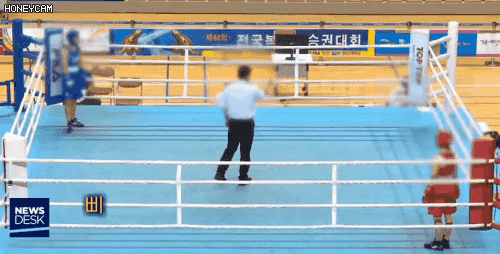 주먹한번 휘두르지 않고 복싱 챔피언???.GIF | 정치유머 게시판 주먹한번 휘두르지 않고 복싱 챔피언???.GIF | 정치유머 게시판 | 루리웹